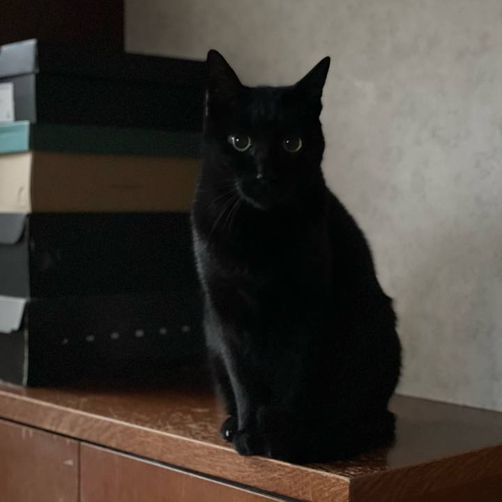 02c26fc4 3518 40cc b792 1327476ee651 1640138616887