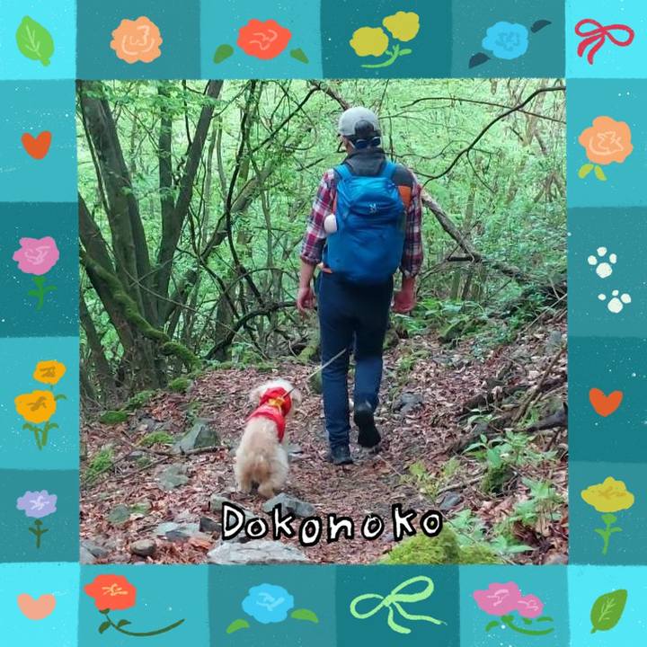 02c28f62 abf3 4218 a22e 685ff9f77235 1714890625646