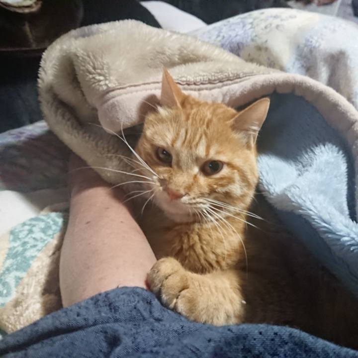 02c2af00 4d57 4651 9413 a73b90c79bcd 1654462604699