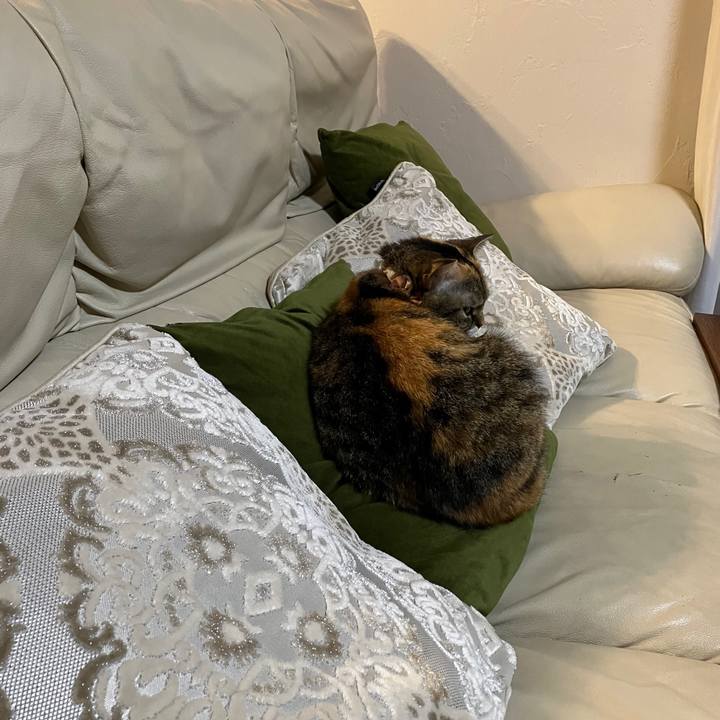 02c2ca65 3a43 420c bc71 3f4513dd50ed 1760014979019