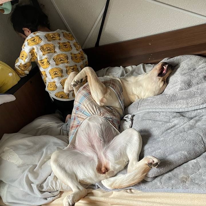 02c2d2d7 4498 44fe aa9f 6e5974b4612b 1643180787101