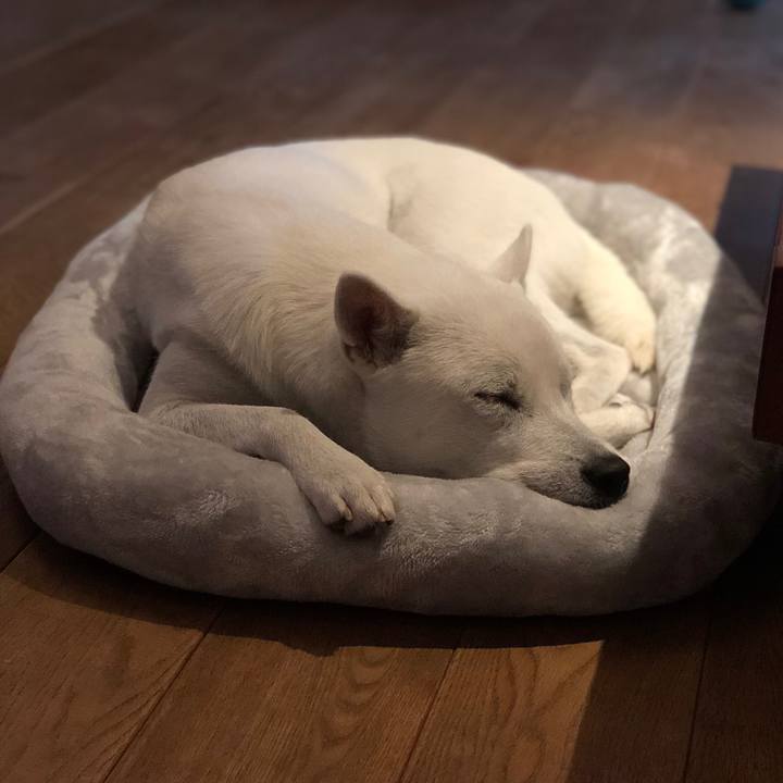 02c3157c 6621 4455 aa52 e25f93255a94 1540893912719