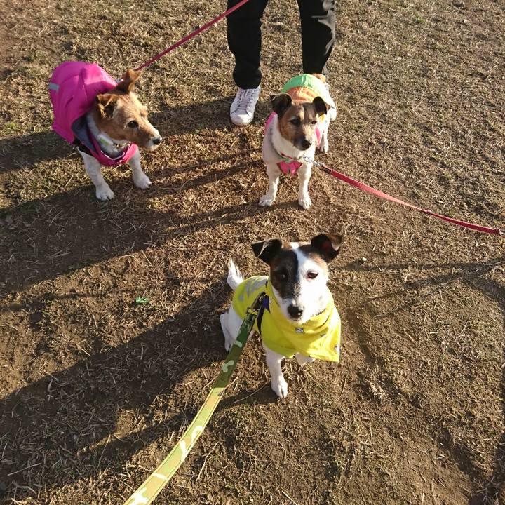 02c35052 c42d 47db 8bfb 321d04b5c776 1515306157861