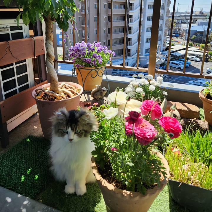 02c38349 6825 4e13 9b91 321841ab9402 1744188788937