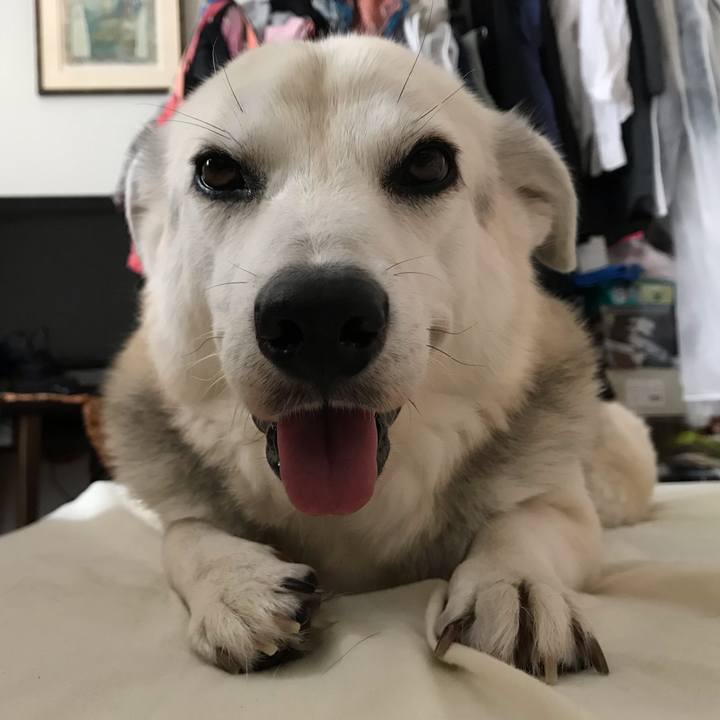 02c39aa8 5e7b 4cef 97ef 774fee8c041d 1601387622022