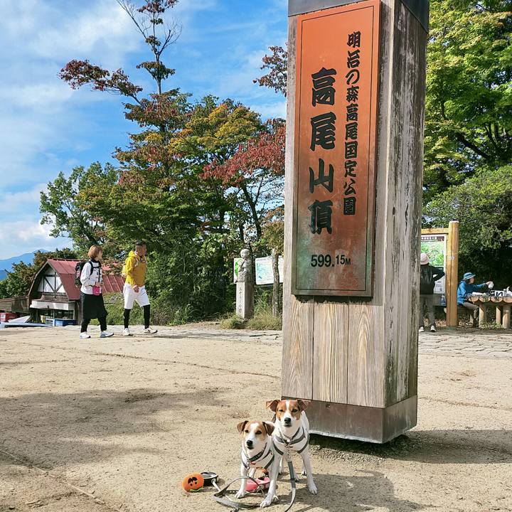 02c3a781 9c67 438e 9e81 616cb16f9631 1761725333389