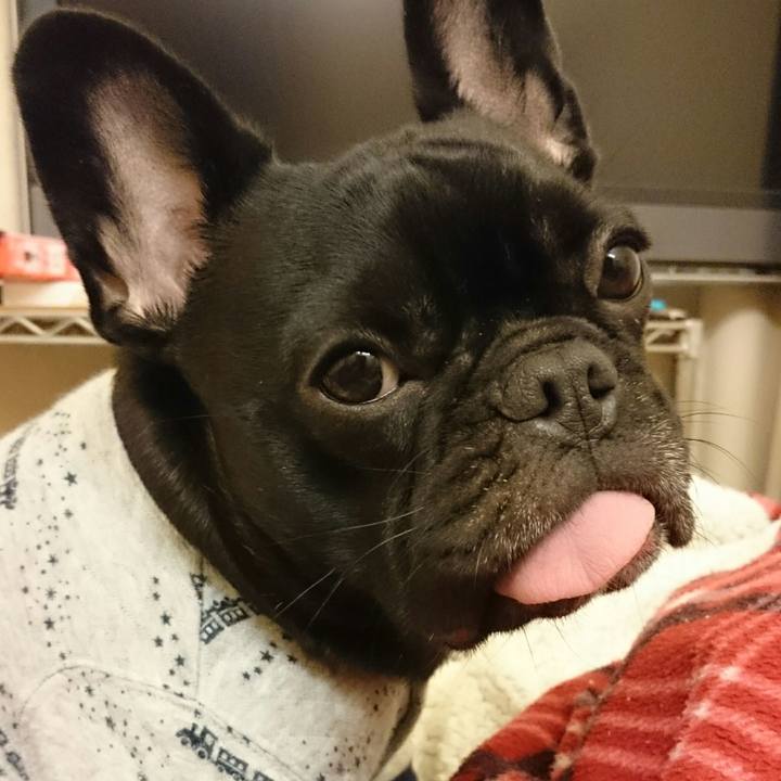 02c3a8fd 41ee 4fc3 950a c36431c0616f 1518616548260