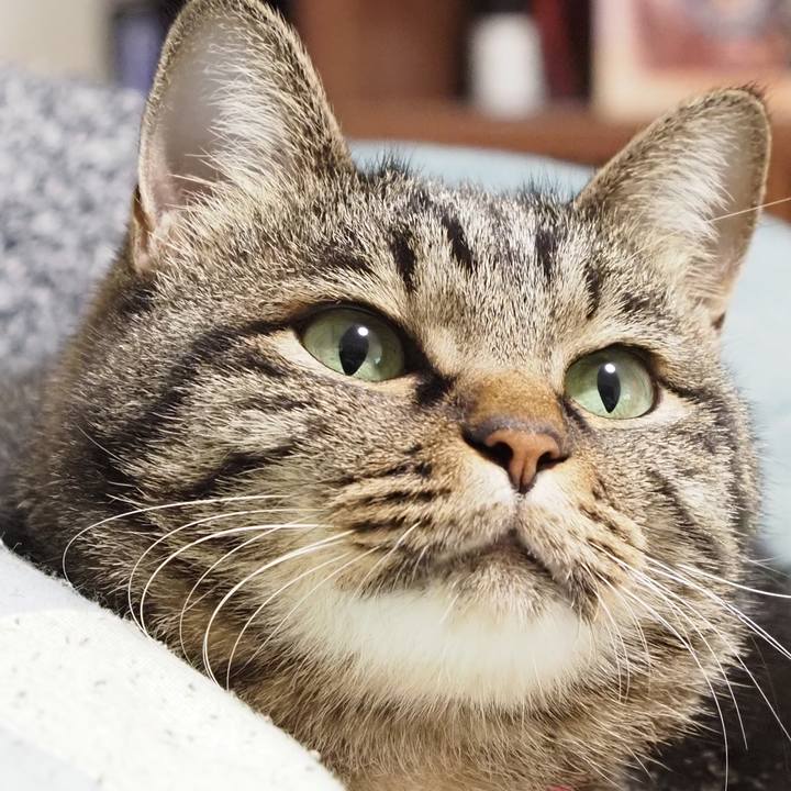 02c3affe b056 4734 a77b cc49ed6703c5 1605954114880