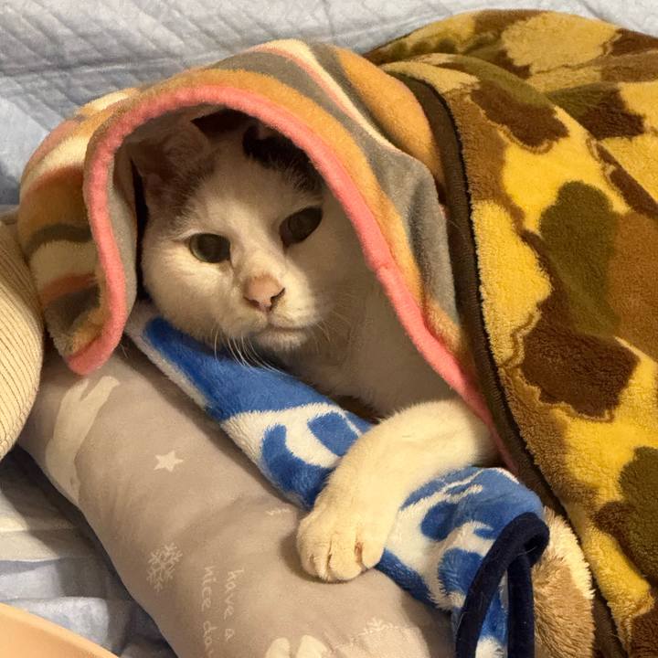 02c432e8 c01e 432f 9b2d f295462000bb 1767704866677