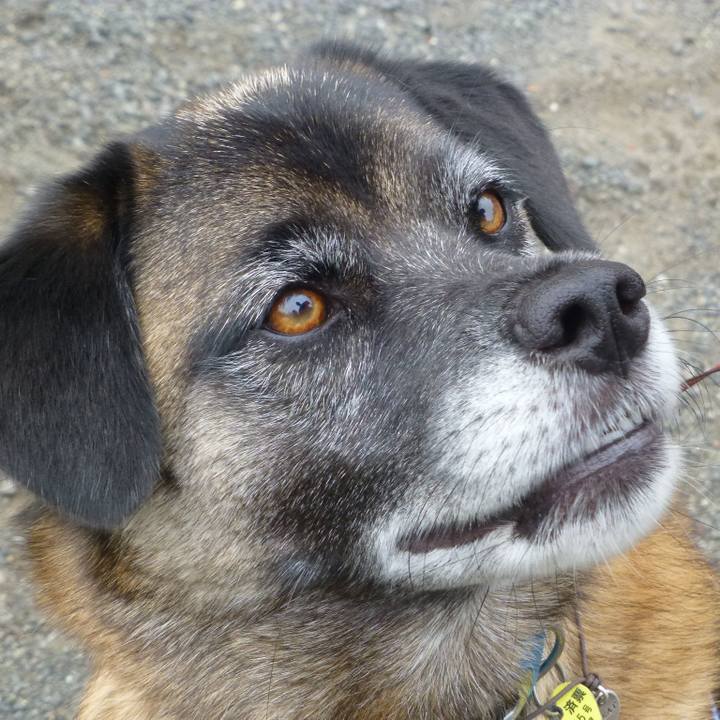 02c43e55 9408 43e8 985d f355ad754ae4 1579171835120