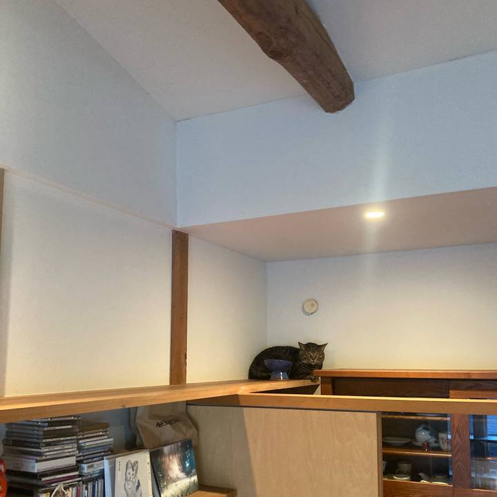 02c444d7 6223 4cf1 bb82 ace9cd9e7c2e 1771027002468