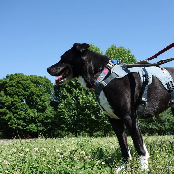 02c4492d 4d27 4f68 94a4 cc0f1f92a8a8 1715309402614