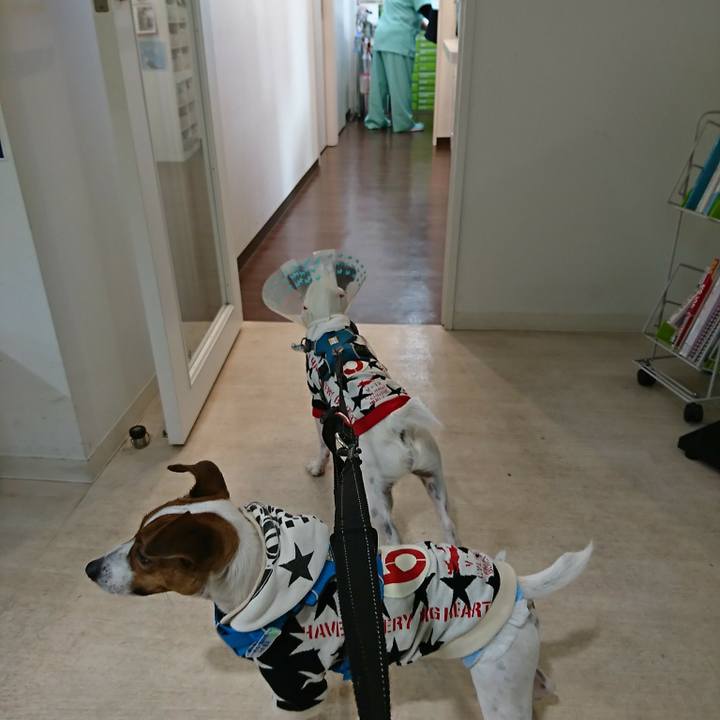 02c45d52 82a3 4d0a b311 eefac29407b4 1545199152234