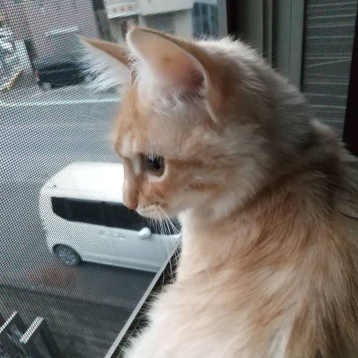 02c47c65 4d93 4709 a0df f1d26a2116f2 1611358136901