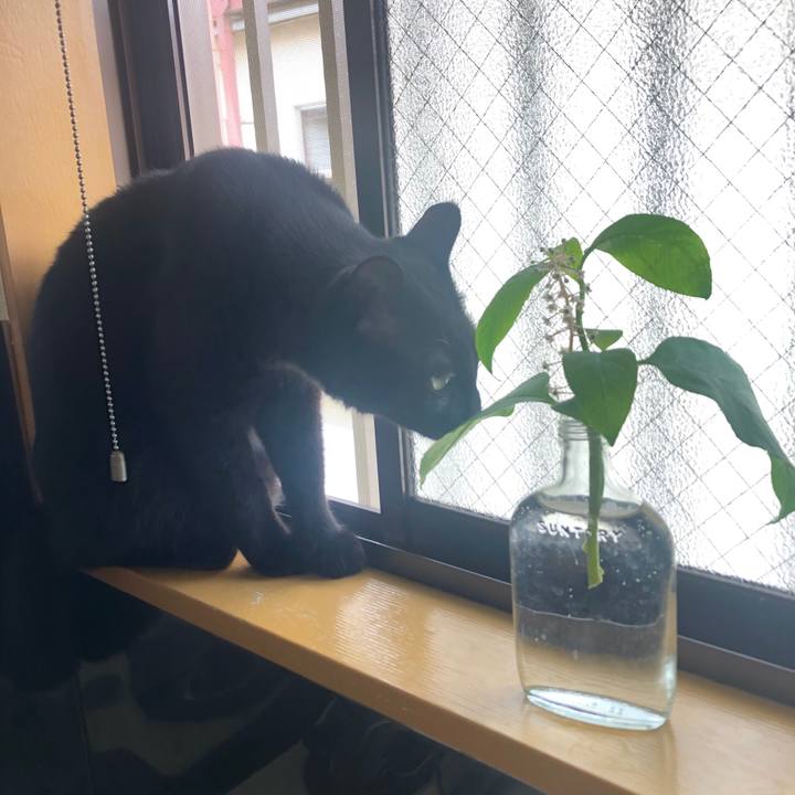 02c4cc68 92c2 4900 bdef fcfb0b5078af 1594433326853