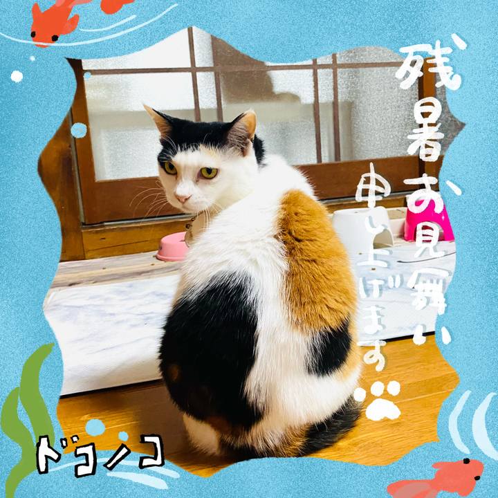 02c4d1b4 acf3 496b 99c6 a44c6ffc5bfa 1723359181701