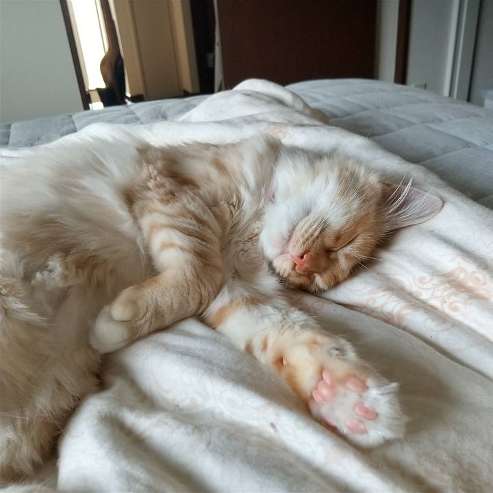 02c54a38 5809 43a0 80e1 29bcb2000e86 1620259059421