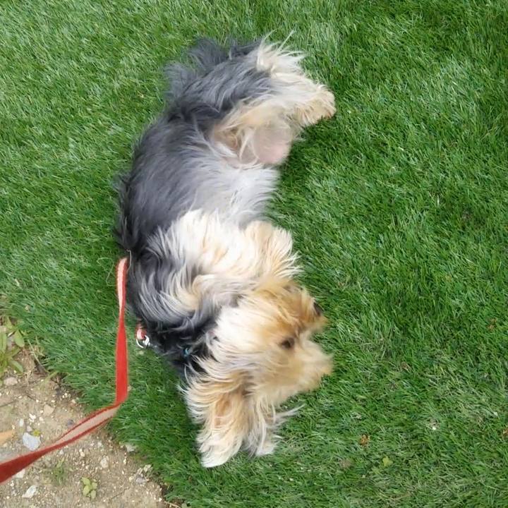 02c55be9 5b34 49d6 bc33 d18d87ec08fd 1560386683405