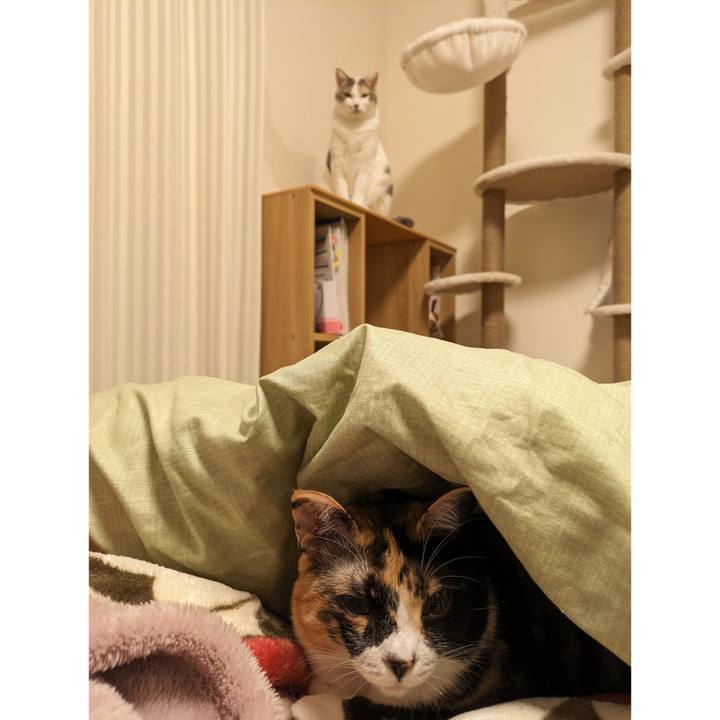 02c56d97 6feb 4fa9 8e95 8bc720761be6 1700453321570