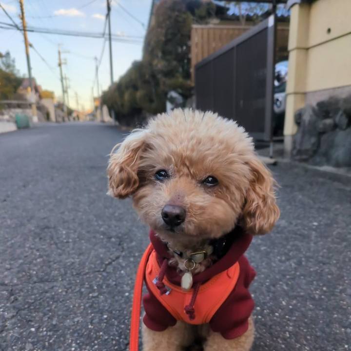 02c57327 f059 48f4 b10e d5c5f15e4c98 1768949515459