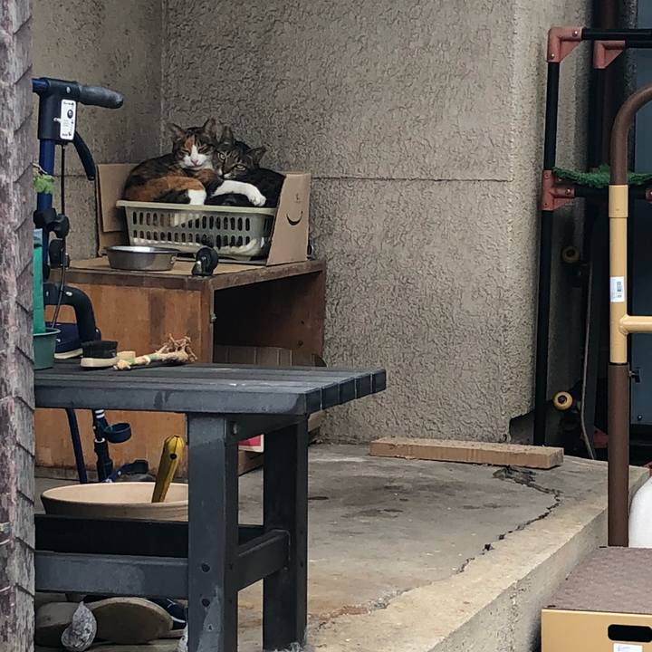 02c59b52 59ae 4a61 9d1c 86dae489b2f9 1539321957481