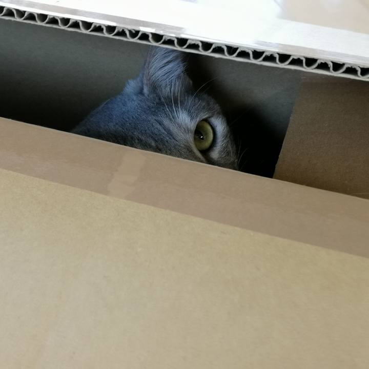 02c5cbab a336 44d6 8e2b 8a82e367eef0 1553047539811