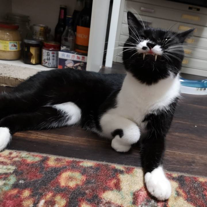 02c5f9ce 718e 4277 be3f ad93654373d2 1570971203175