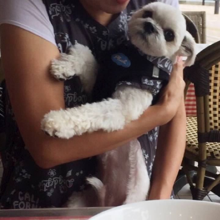 02c5ffc0 42c8 4840 8d79 2b30ac98f561 1528801608033