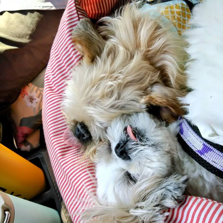 02c60a32 d367 4325 b925 82912ca09b00 1718147797516