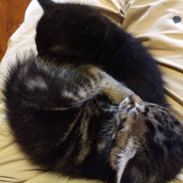 02c6643b f7d7 4c5b ab78 c605ae45025b 1593580844361