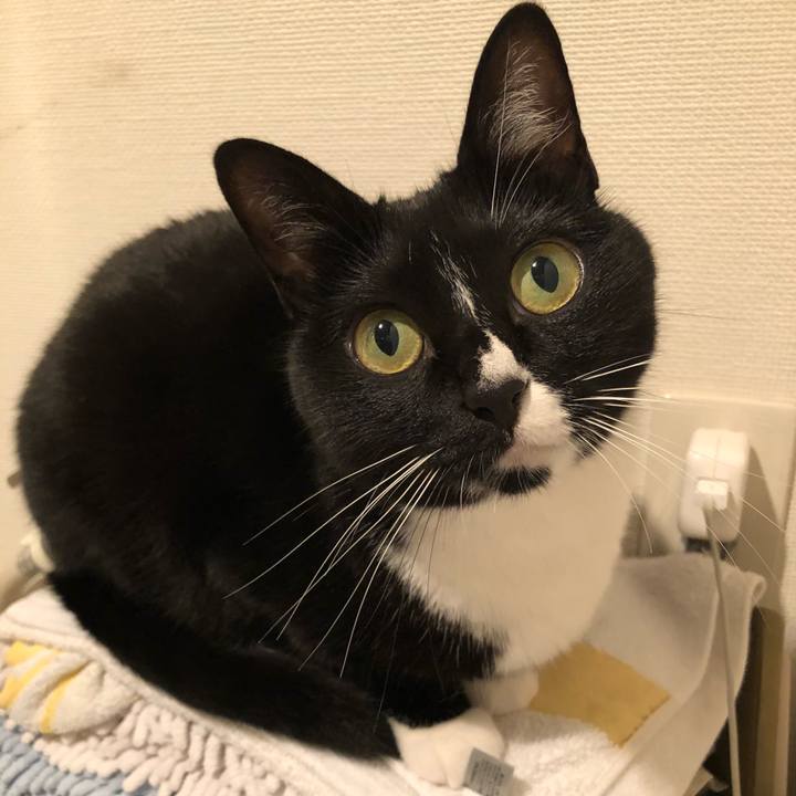 02c66f03 9d1c 437f b18f c985764ed46a 1518559911246