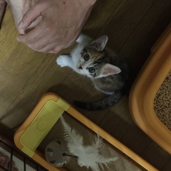 02c67d43 becd 4673 a965 bd5c1923a231 1629803775673