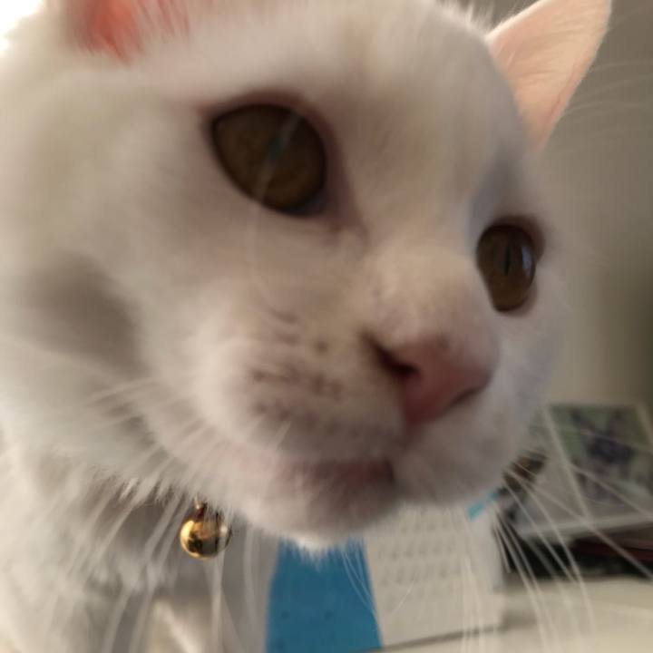 02c680b9 c919 401d b971 0381d2ef0537 1513033657690