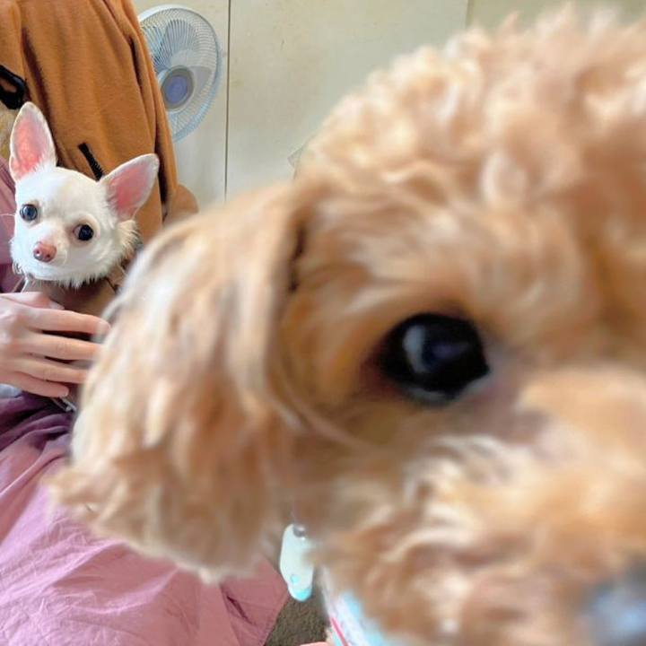 02c69007 5f7a 4a85 af34 0a31967084e2 1713697044515