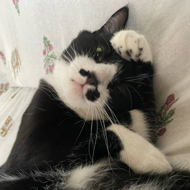 02c6958c b1d6 43f6 b503 7ea258a9cf05 1749942382036