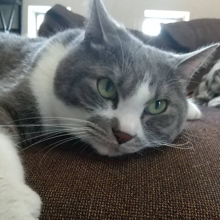 02c699c0 a3c3 4e02 a01f 92325ea11740 1714369462120