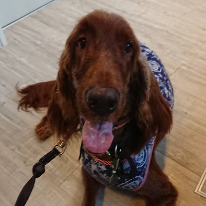 02c6bde1 1360 4b30 ab6e 2806e73eced9 1535883427311