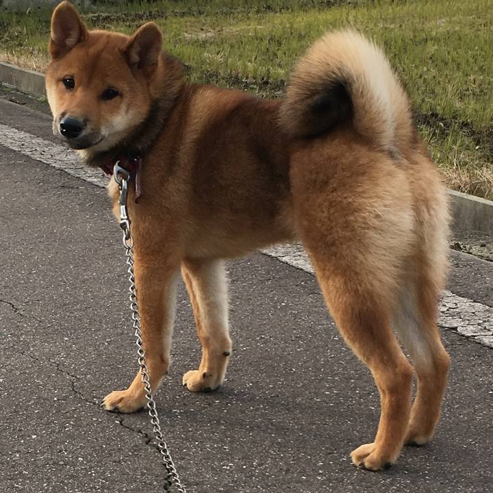 02c6e5eb b46d 47ac be2f c5a4dd030abd 1512884928145