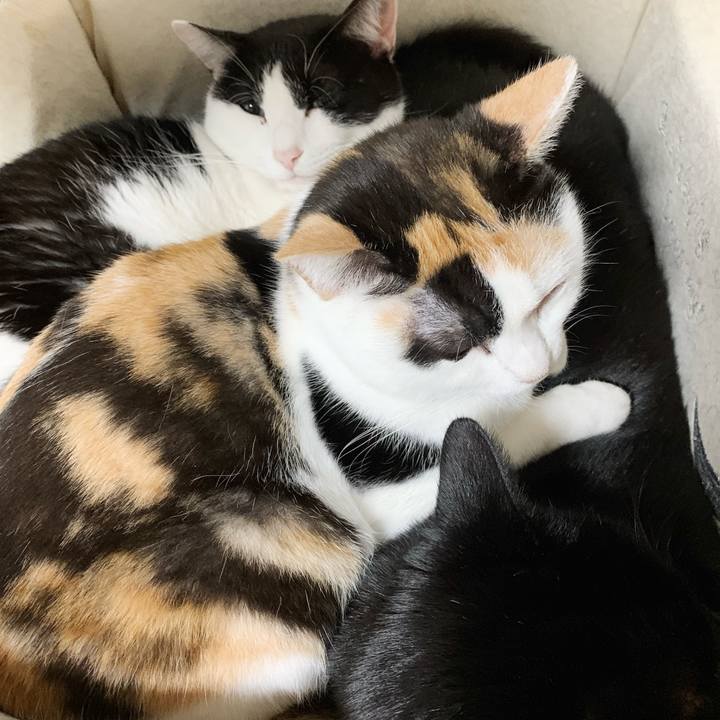 02c71b9d 81d6 4105 b3ee 6d4a38146a83 1545530355714