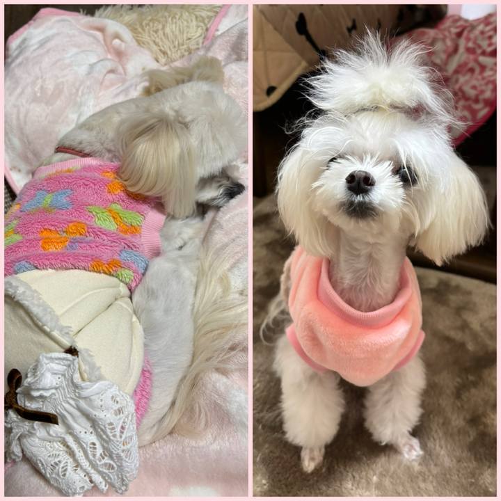 02c73d80 4a68 45bf b194 d62d3d383fba 1733745395138