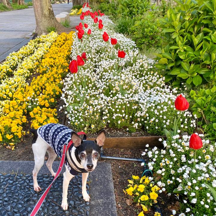 02c76035 e892 4b6a a908 8d390b1ef179 1587094488790