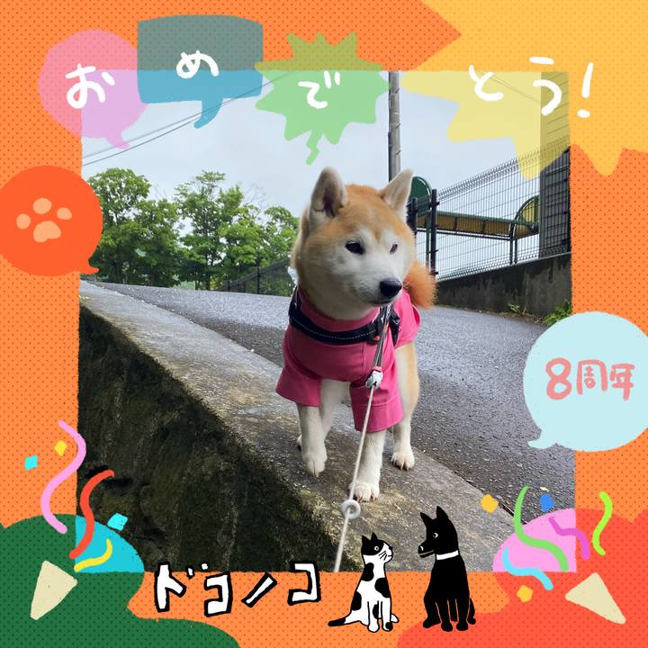 02c77173 78b6 45bb bfe7 d115b6697c59 1717626459311