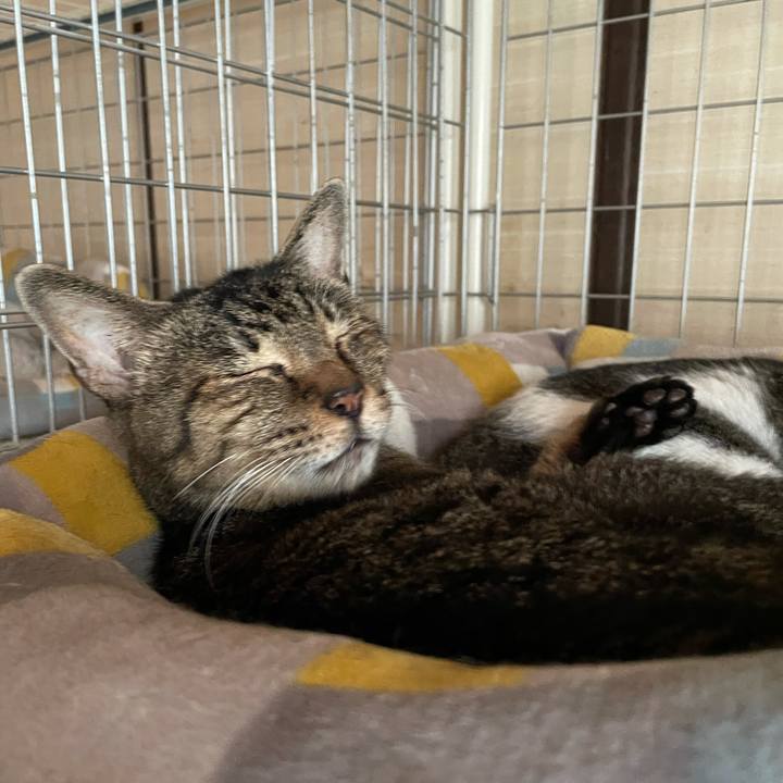 02c7733a 1c10 4302 9039 4e9593a98f2f 1629330555910