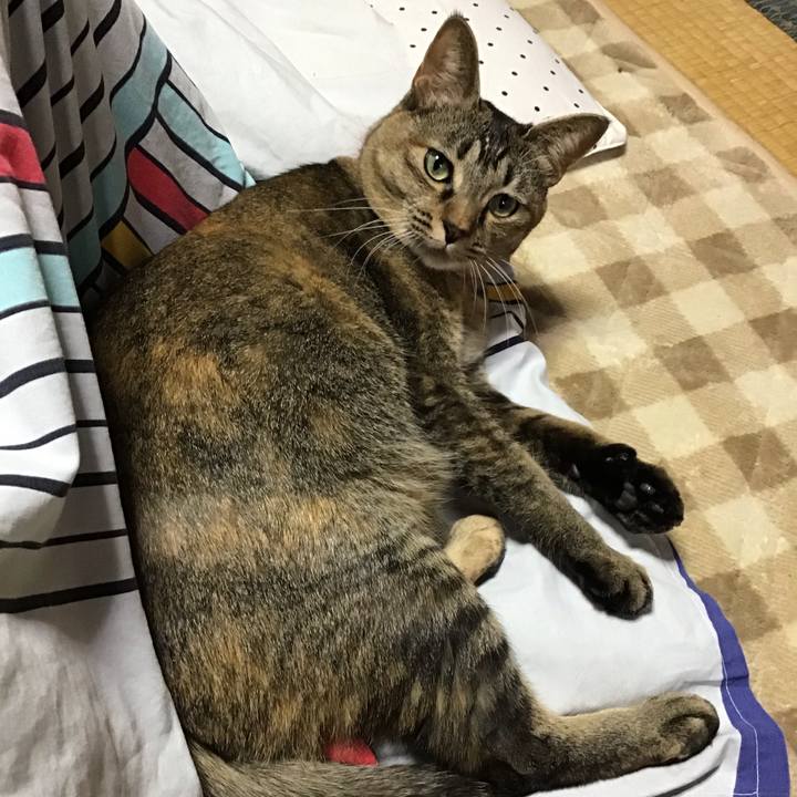 02c79bef 3ce0 40f0 8406 a018c1e69485 1607468210703