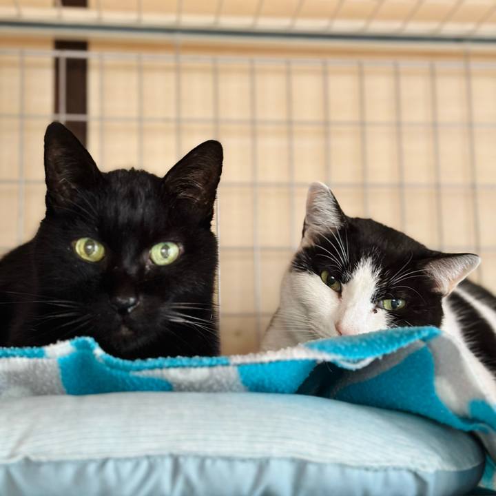 02c7f392 e2a6 45e6 92b7 3a11cc83eb80 1707270562622