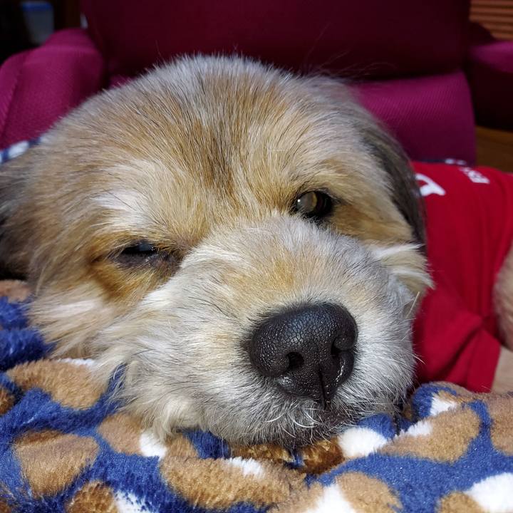 02c8439a 45cb 4a66 8633 84c27f735cf6 1638021358137