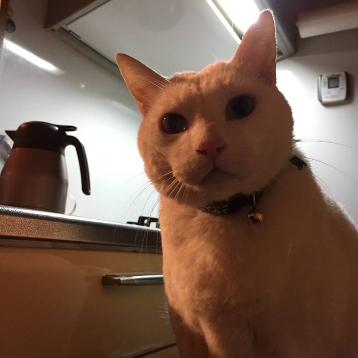 02c86e03 29fd 44d9 a8ac 235dadf2b619 1554976540403