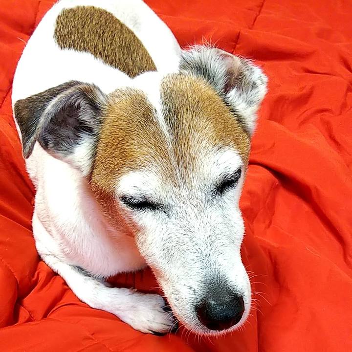 02c881c0 ee80 4558 af09 a36b1c444560 1559651438766