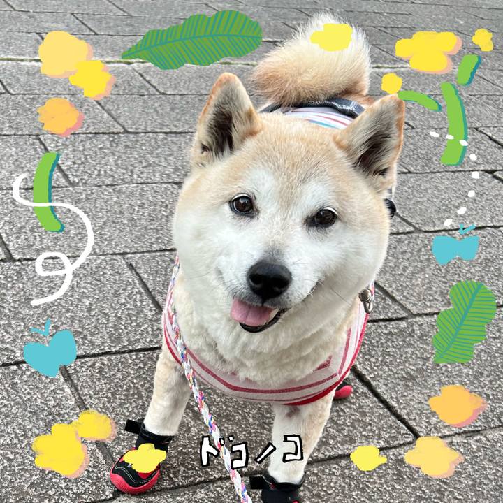 02c89bed 7943 47c7 85a4 6054c40e45c4 1744252763200