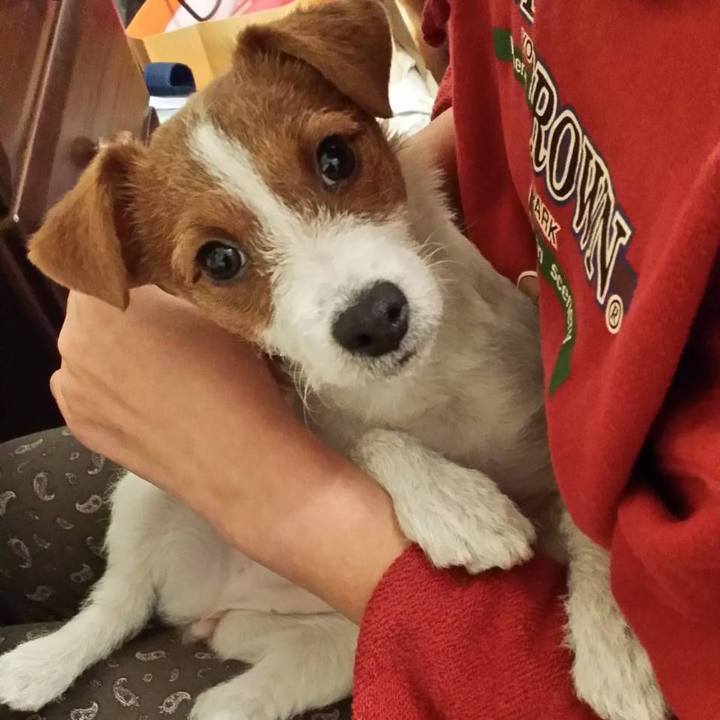 02c900ac ddf8 43cc 9d75 fb38897ec0ed 1590815322673